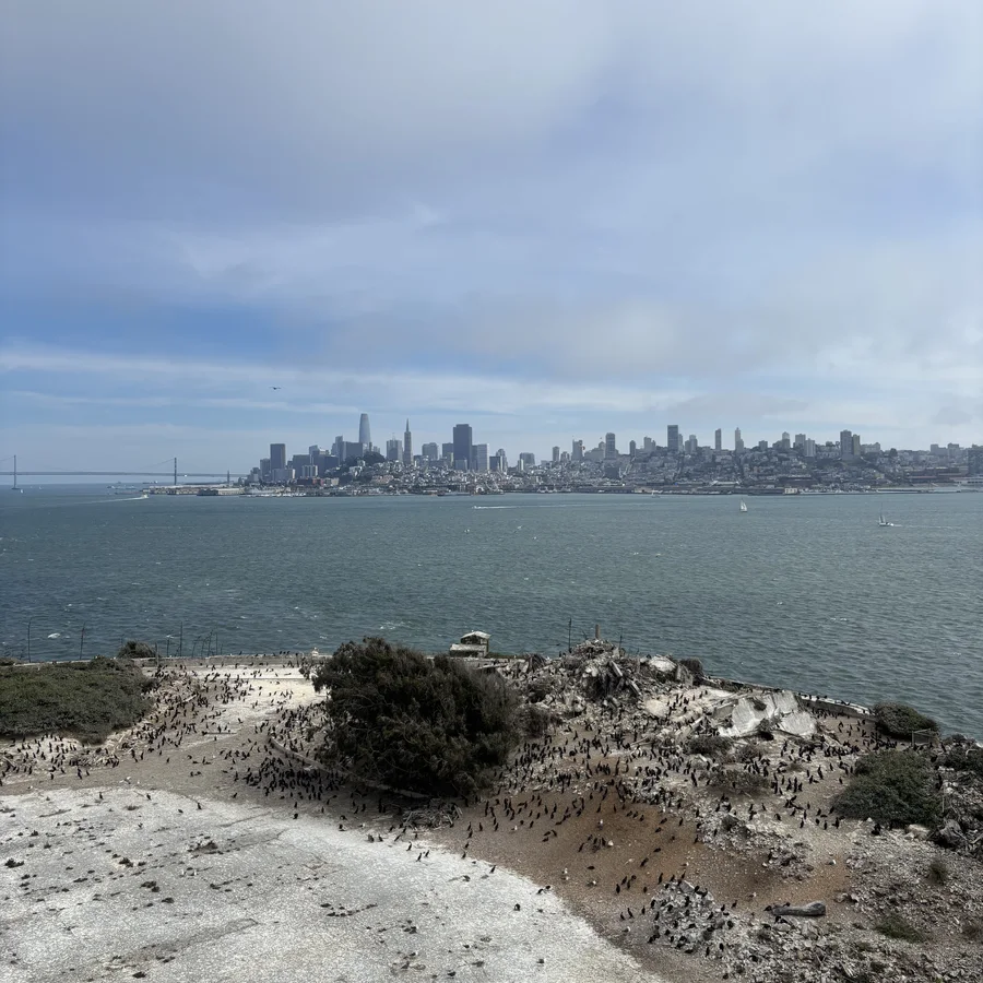 San Francisco skyline seen across the bay from Alcatraz
