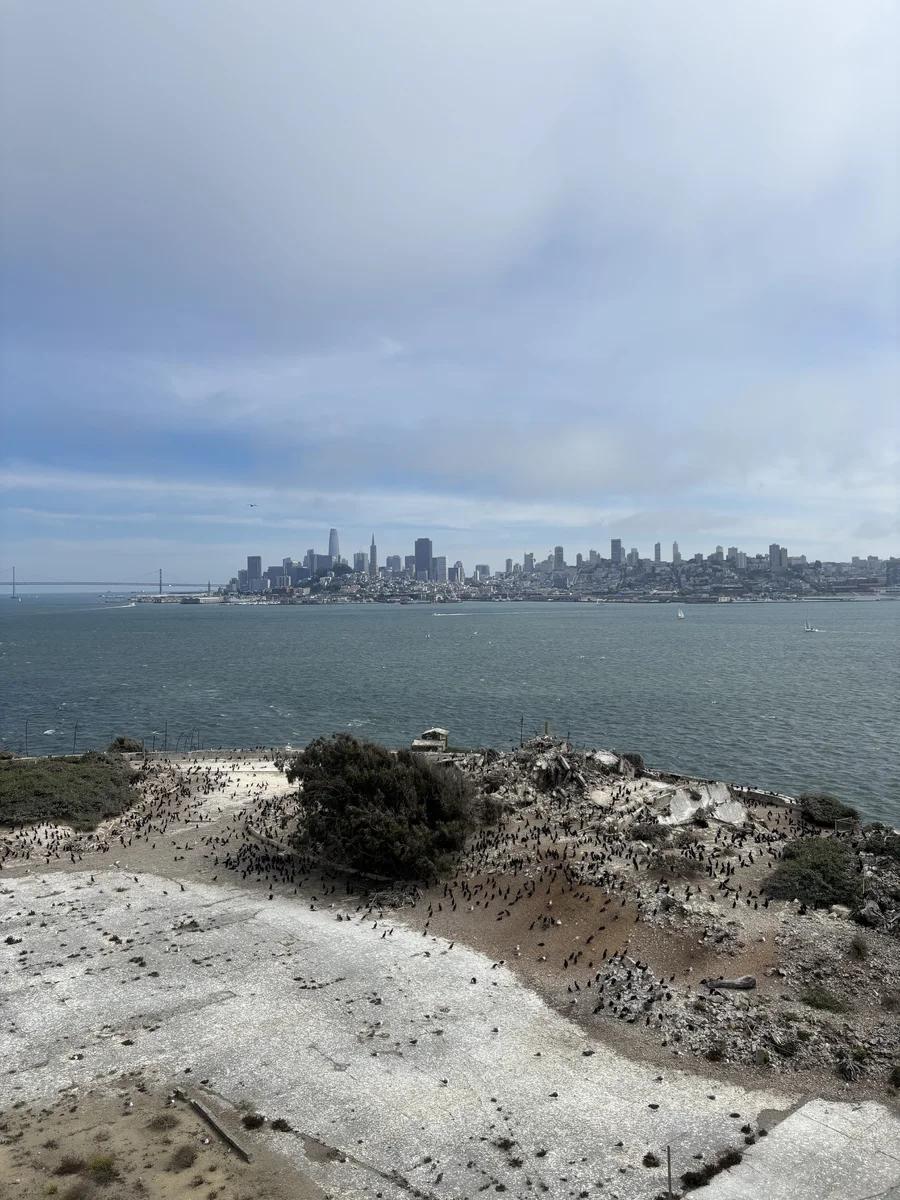 San Francisco skyline seen across the bay from Alcatraz
