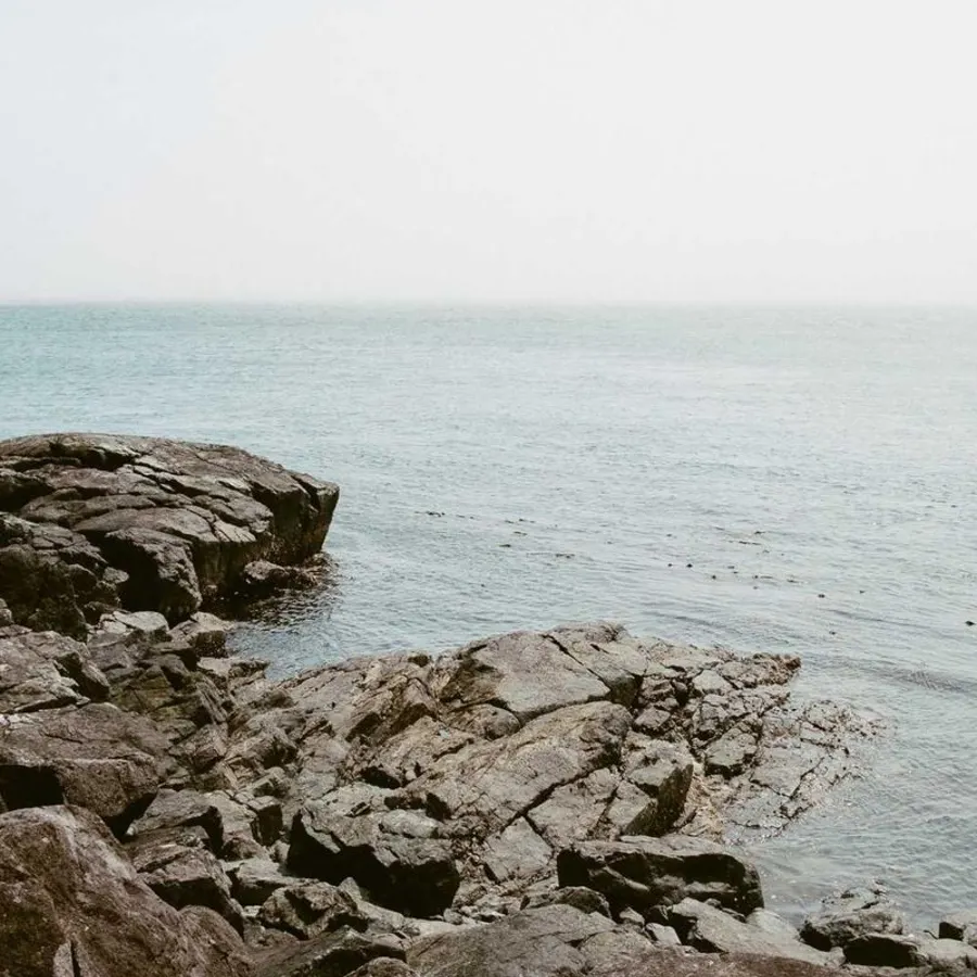 rocky coast